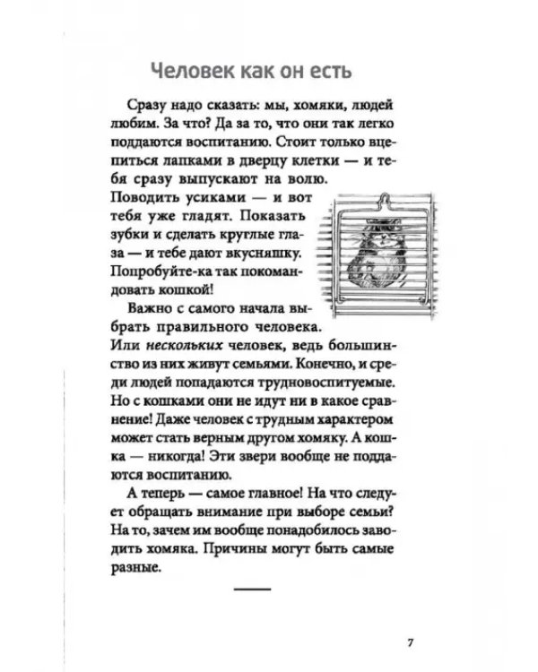 Я всего лишь хомяк