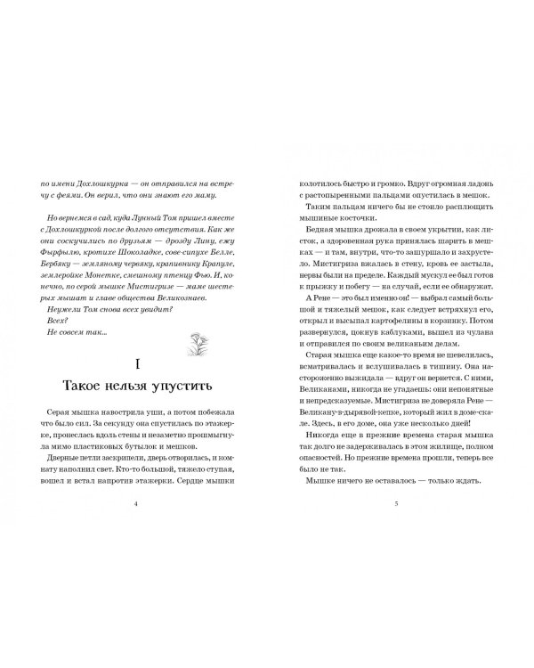 Лунный Том и замок Эльфиния. Книга 3
