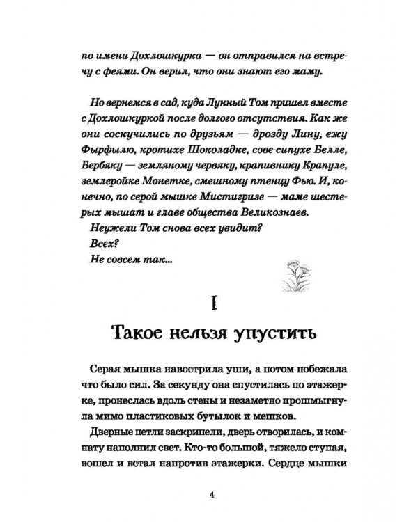Лунный Том и замок Эльфиния. Книга 3