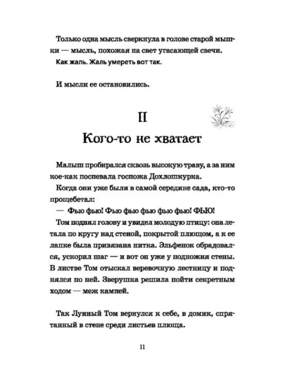 Лунный Том и замок Эльфиния. Книга 3