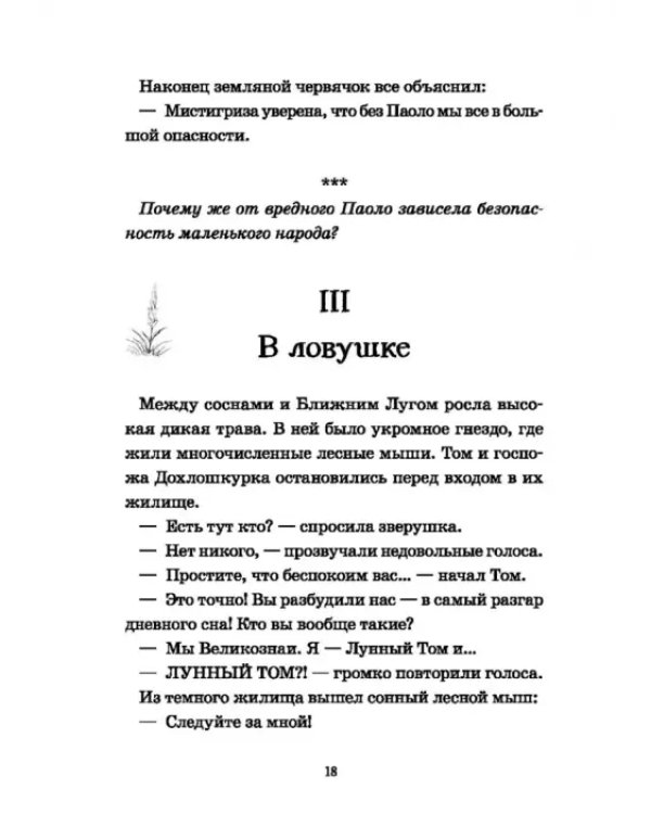 Лунный Том и замок Эльфиния. Книга 3