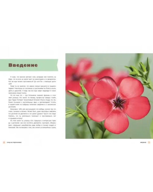 Клад на подоконнике