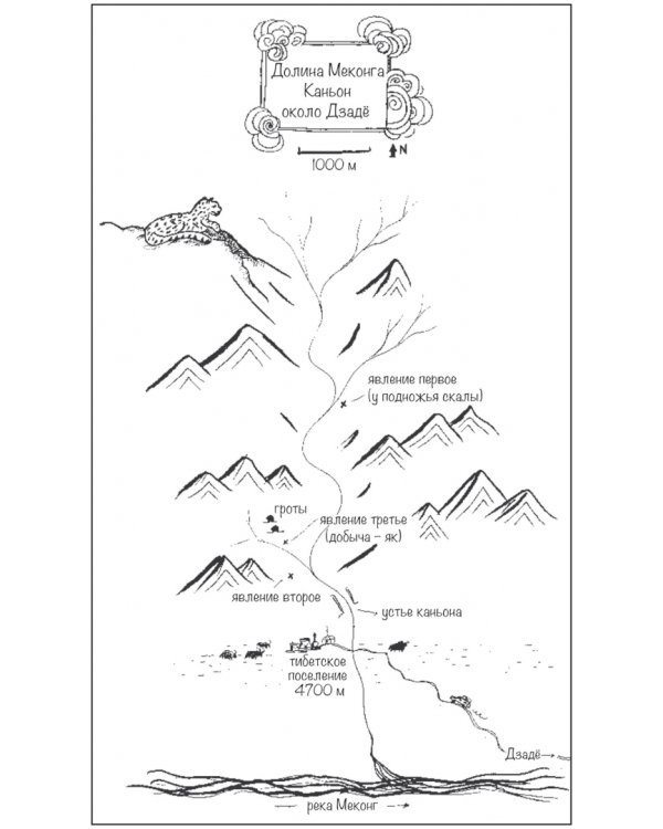 Снежная пантера