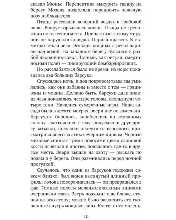 Снежная пантера