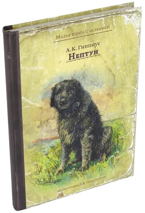 Малая книга с историей Нептун