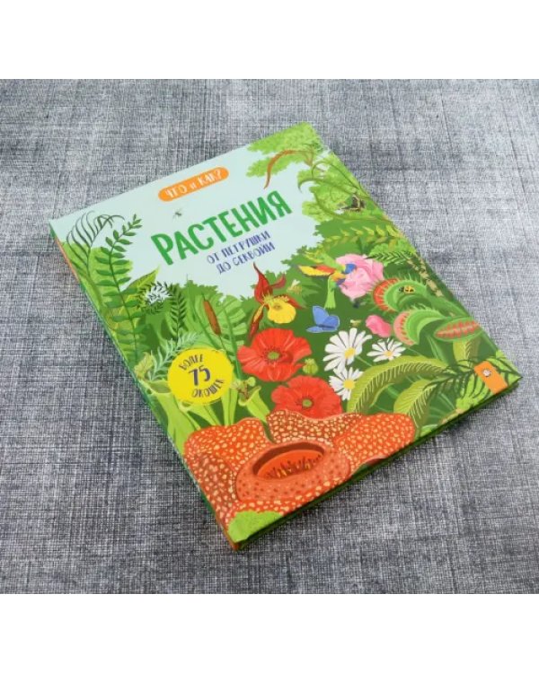 Растения. От петрушки до секвойи