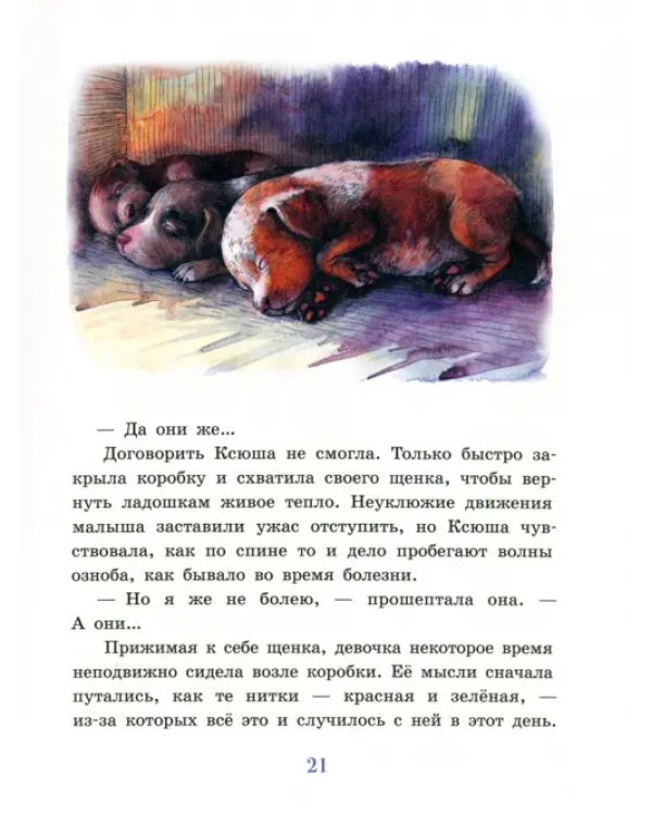 Коробочка