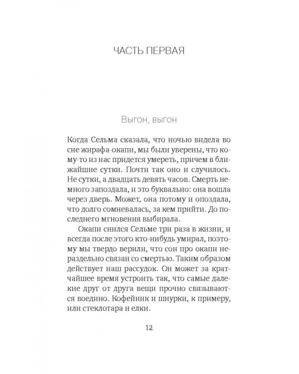 Что видно отсюда