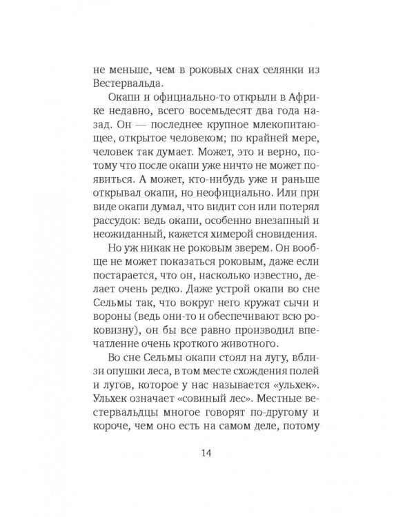 Что видно отсюда