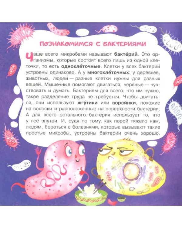 Микробы: соседи-невидимки