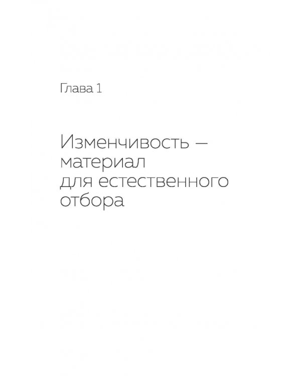 Эволюция. Есть ли вершина?
