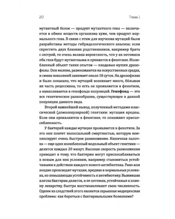 Эволюция. Есть ли вершина?