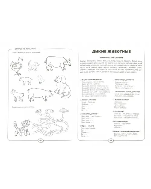 Развитие речи и познавательных способностей дошкольника. 4-5 лет