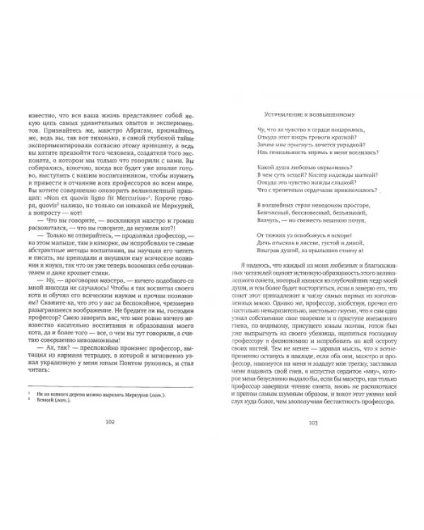 Житейские воззрения кота Мурра