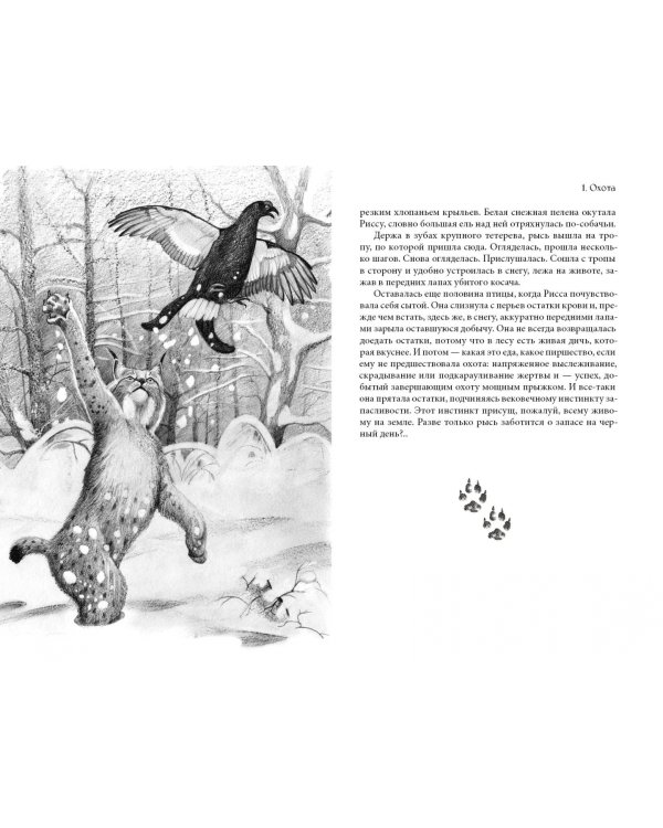 Рисса. Повесть о рыси. Большой Уг. Повесть о лосе