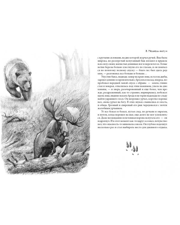 Рисса. Повесть о рыси. Большой Уг. Повесть о лосе