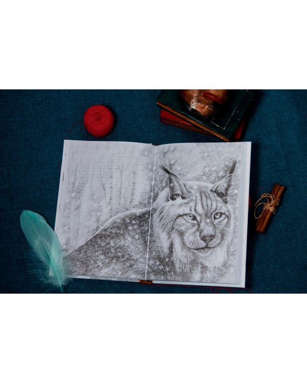 Рисса. Повесть о рыси. Большой Уг. Повесть о лосе