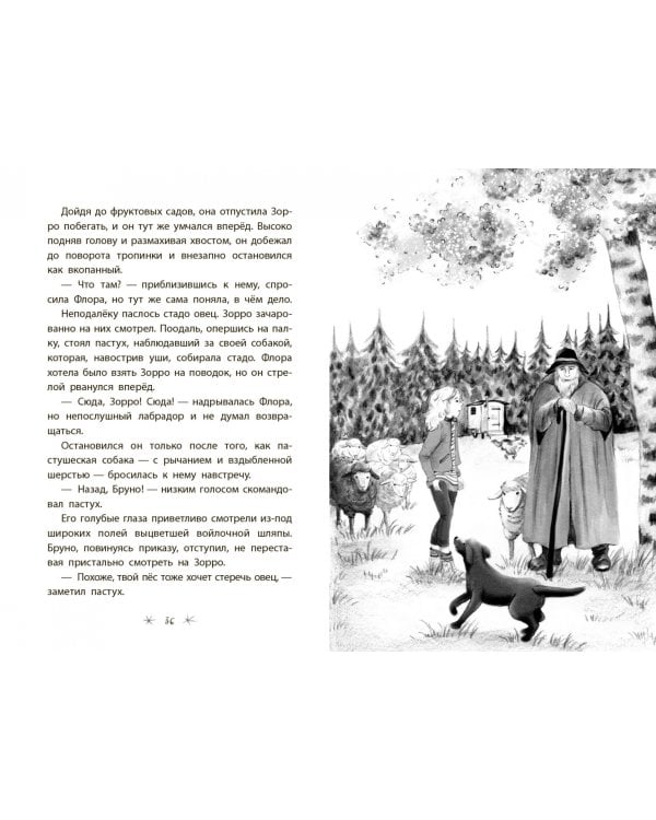 Хранители замка Федерштайн