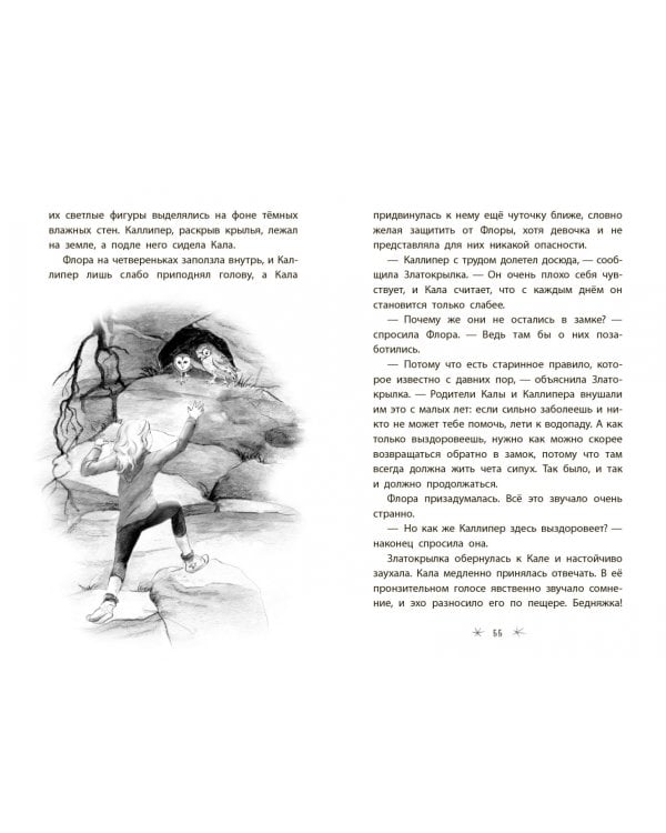 Хранители замка Федерштайн