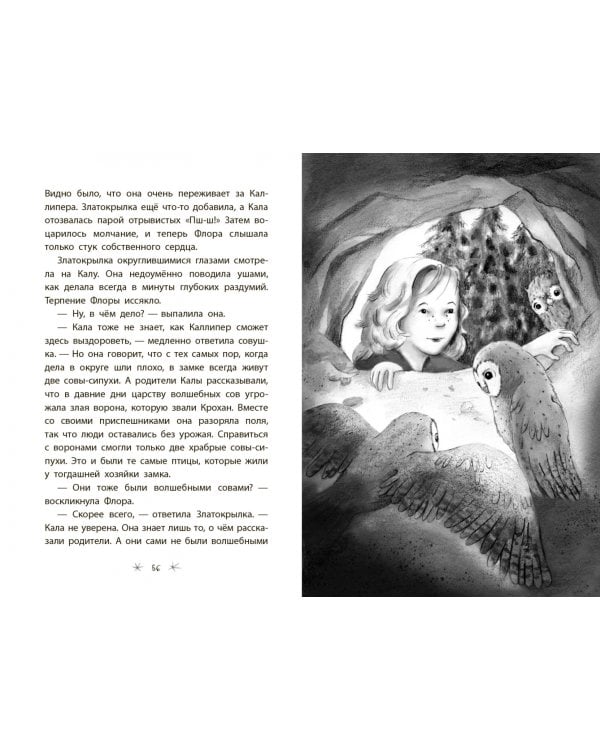 Хранители замка Федерштайн