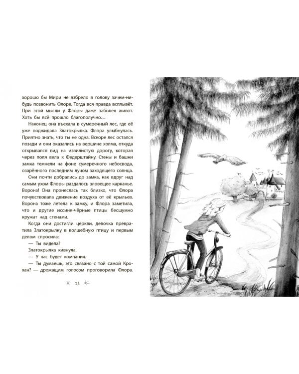 Хранители замка Федерштайн