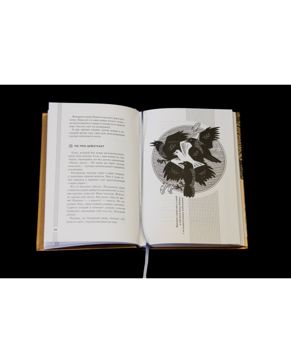 Записки у изголовья