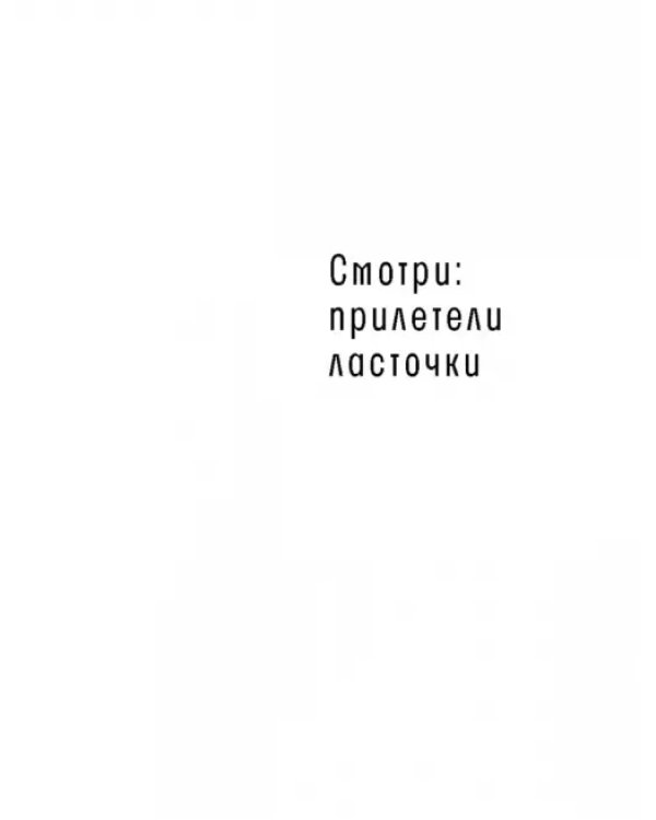 Смотри: прилетели ласточки