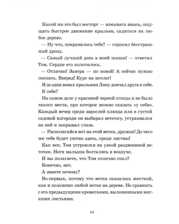 Лунный Том и секретное общество Великознаев. Книга 1