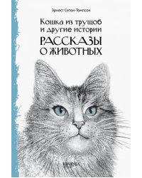 Кошка из трущоб и другие истории