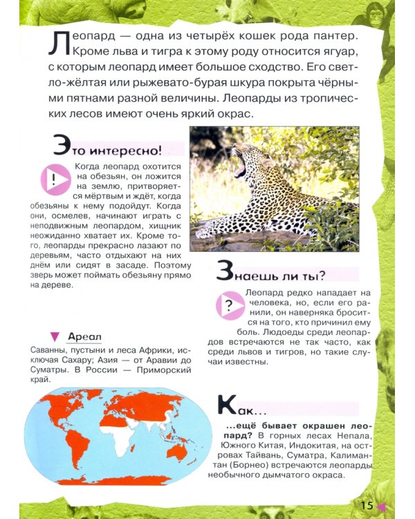 В лесу, в жарких странах, рядом с нами. Увлекательное путешествие в мир живой природы