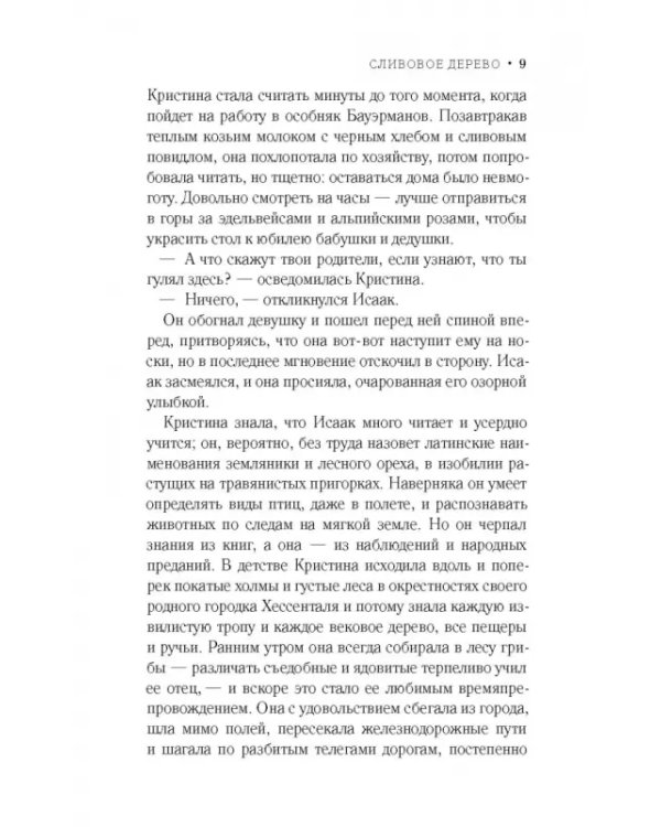 Сливовое дерево