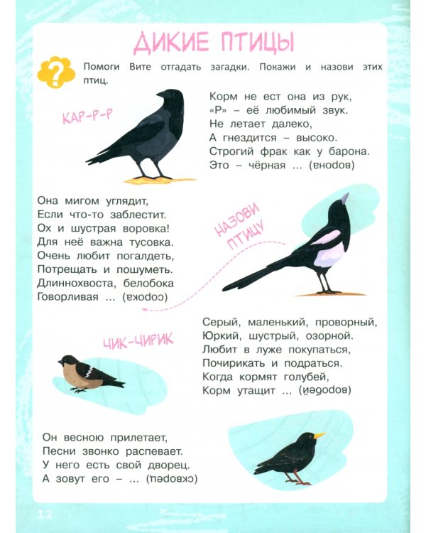 Ребусы. Загадки. Стихи