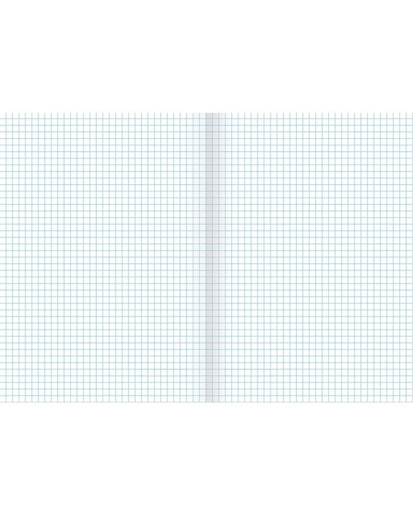 Тетрадь Тень, А4, 80 листов, клетка