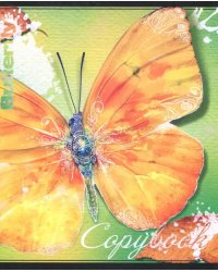 Тетрадь Бабочки, 48 листов, А5, клетка