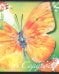 Тетрадь Бабочки, 48 листов, А5, клетка