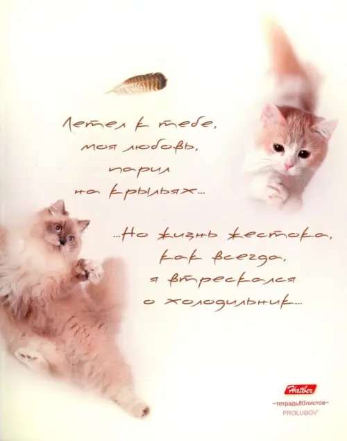 Тетрадь общая ProLubov, 80 листов, А5, клетка, в ассортименте