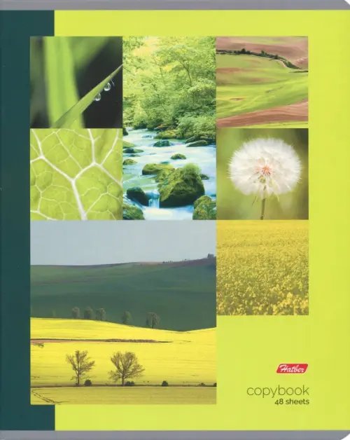 Тетрадь общая Four Seasons, 48 листов, А5, клетка, в ассортименте