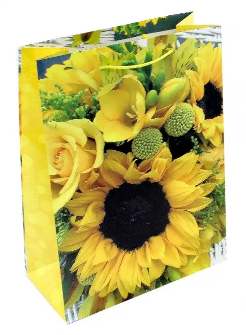 Пакет подарочный ламинированный Пакет подарочный ламинированный