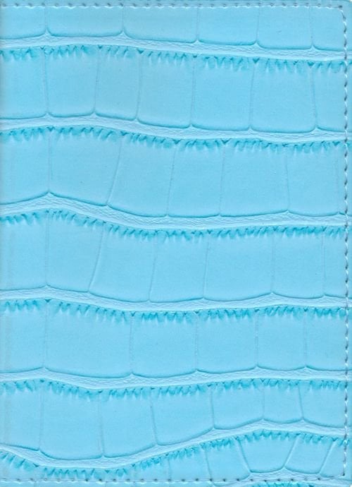 Обложка для паспорта Savage Голубой