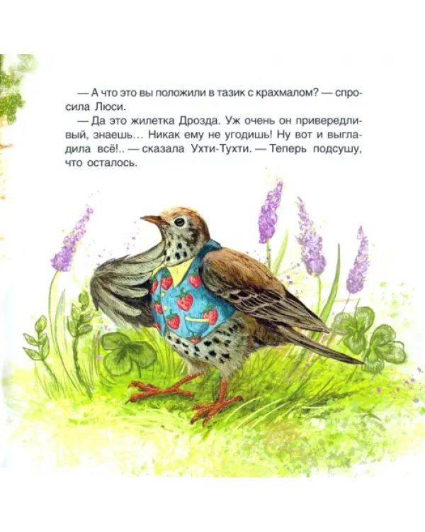 Дополнительное изображение книги «Ухти-Тухти»