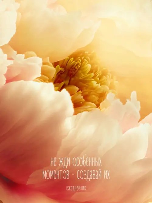 Ежедневник недатированный Создавай моменты, А6, 128 листов