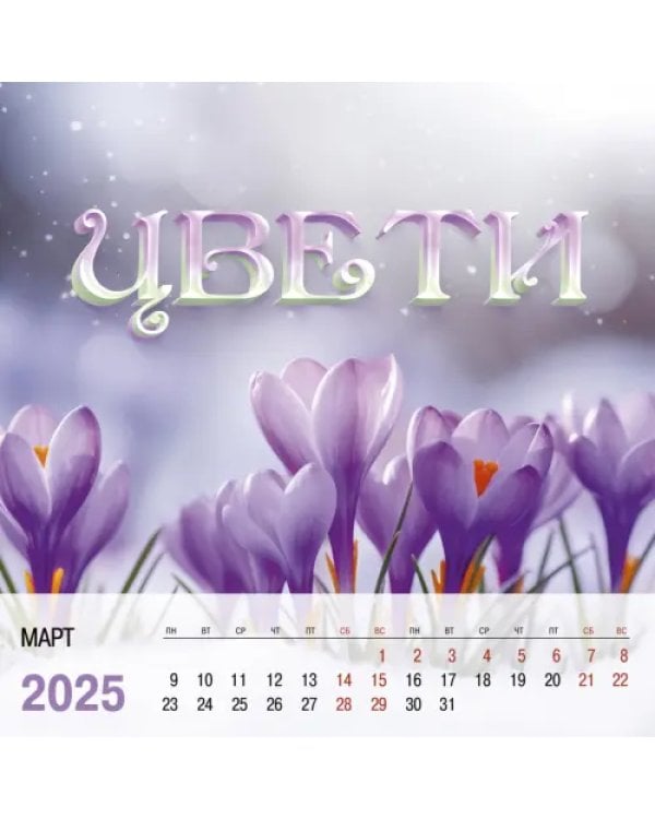 Дополнительное изображение книги «Календарь на 2025 год Лови момент!»