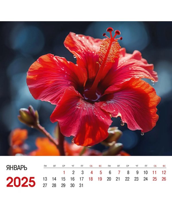 Календарь на 2025 год Цветы