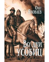 Во дни усобиц