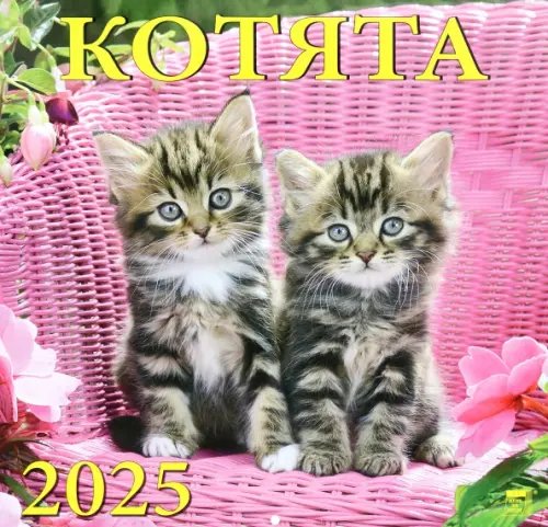 Календарь настенный 300х300 Календарь настенный на 2025 год Котята