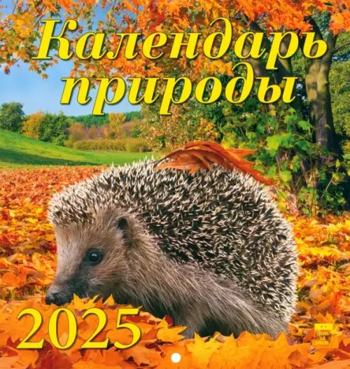 Календарь настенный 160х170 Календарь настенный на 2025 год Календарь природы