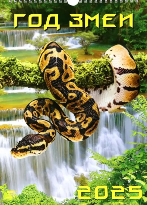 Календарь настенный 250х345 Календарь настенный на 2025 год Год змеи
