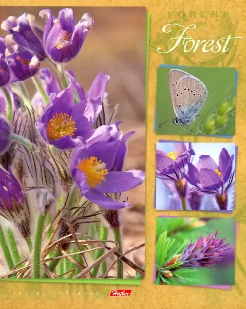 Тетрадь общая Душа леса, 48 листов, А5, клетка, в ассортименте