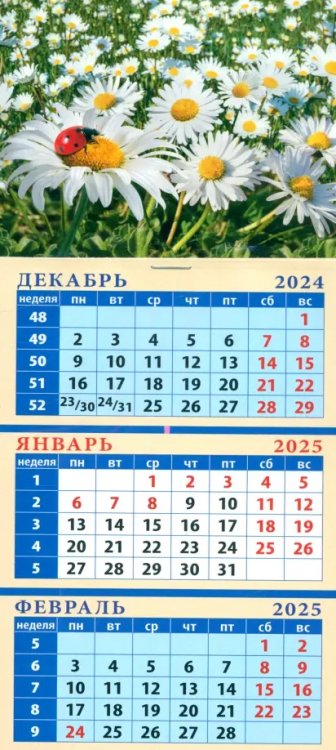 Календарь квартальный на магните 110х245 Календарь квартальный на магните на 2025 год Ромашки с божьей коровкой