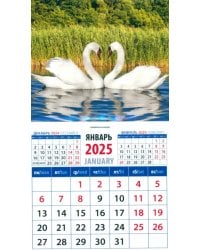 Календарь на магните на 2025 год Лебединая пара